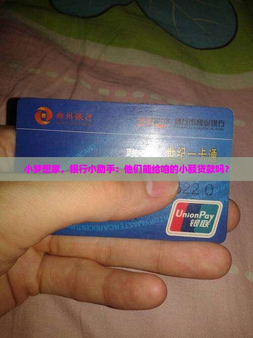 小梦想家，银行小助手：他们能给咱的小额贷款吗？