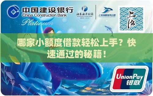 哪家小额度借款轻松上手?快速通过的秘籍! 哪家小额度借款轻松上手?快速通过的秘籍!