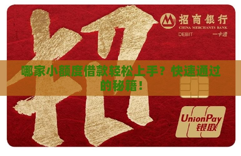 哪家小额度借款轻松上手?快速通过的秘籍! 哪家小额度借款轻松上手?快速通过的秘籍!