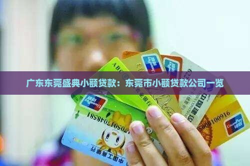广东东莞盛典小额贷款：东莞市小额贷款公司一览