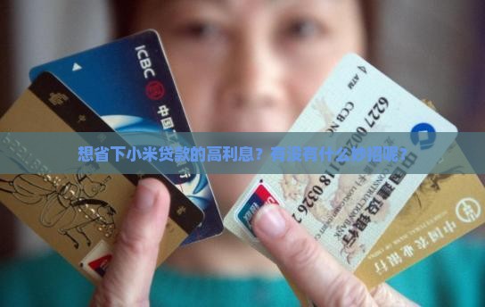 想省下小米贷款的高利息?有没有什么妙招呢? 想省下小米贷款的高利息?有没有什么妙招呢?