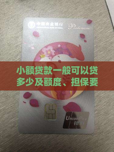 小额贷款一般可以贷多少及额度、担保要求