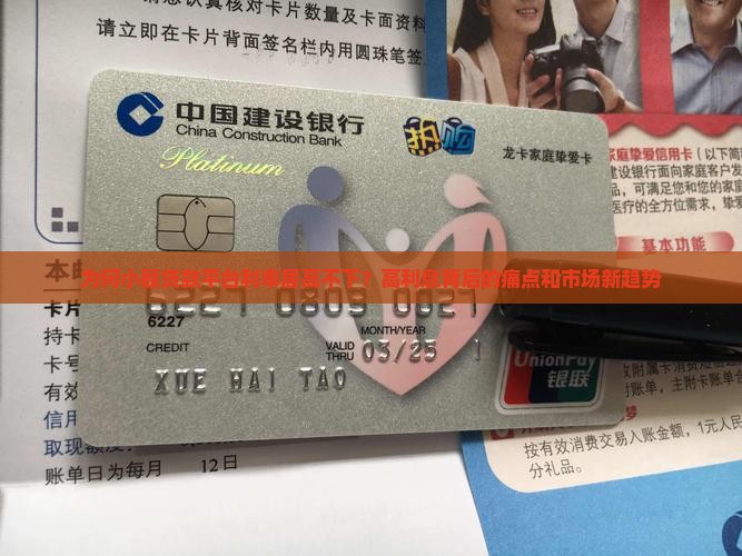 为何小额贷款平台利率居高不下？高利息背后的痛点和市场新趋势