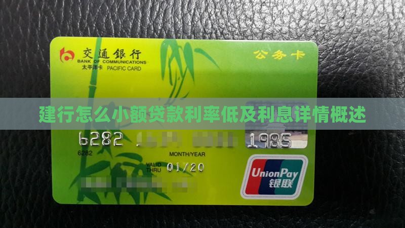 建行怎么小额贷款利率低及利息详情概述