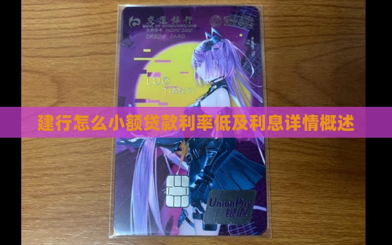 建行怎么小额贷款利率低及利息详情概述