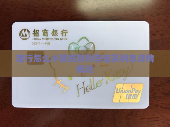 建行怎么小额贷款利率低及利息详情概述