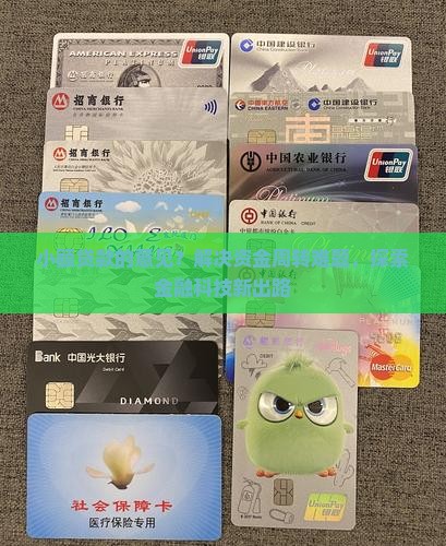 小额贷款的意见？解决资金周转难题，探索金融科技新出路