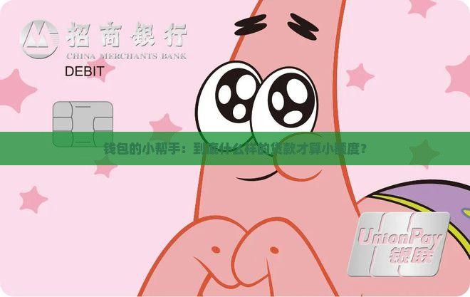 钱包的小帮手：到底什么样的贷款才算小额度？