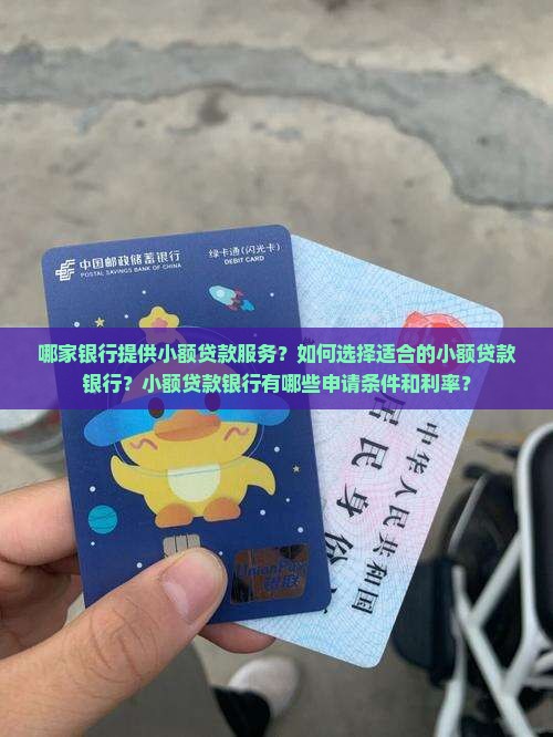 哪家银行提供小额贷款服务？如何选择适合的小额贷款银行？小额贷款银行有哪些申请条件和利率？