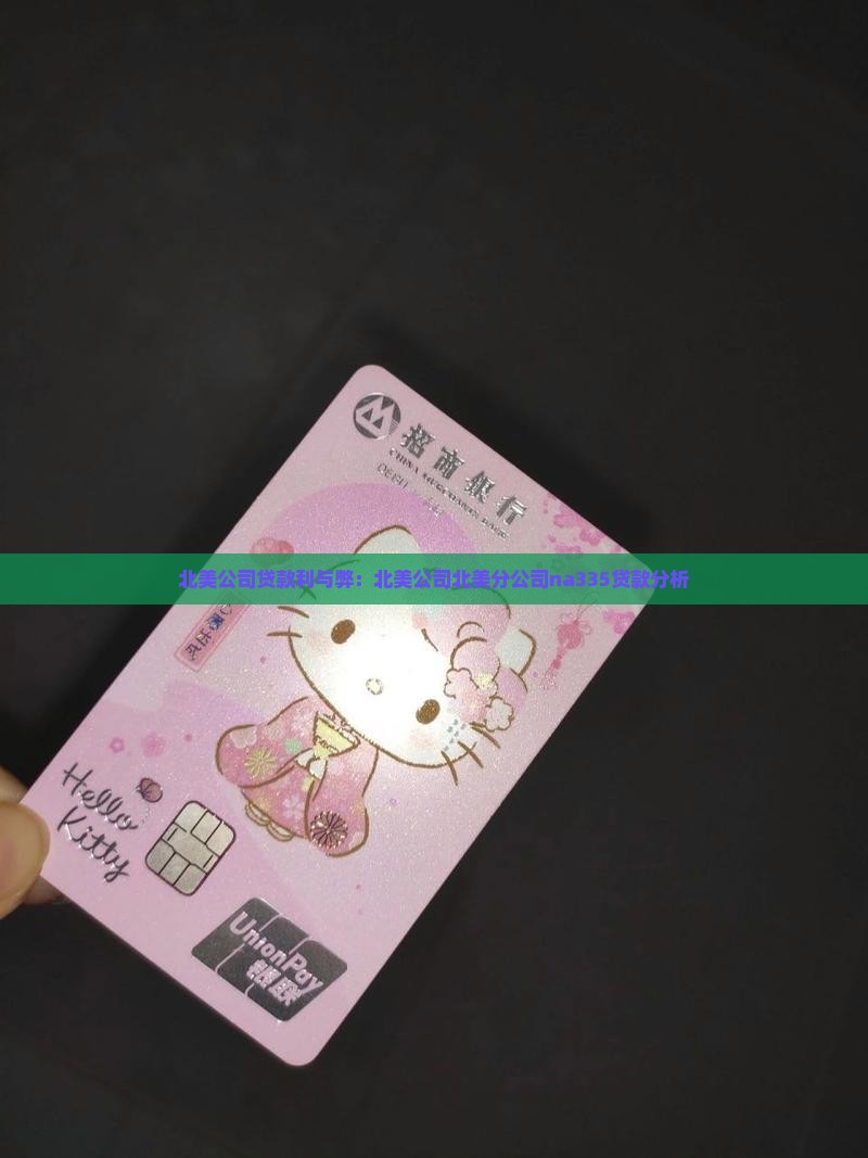 北美公司贷款利与弊：北美公司北美分公司na335贷款分析