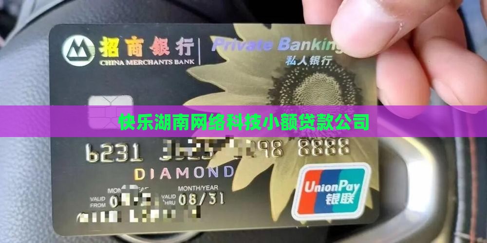 快乐湖南网络科技小额贷款公司