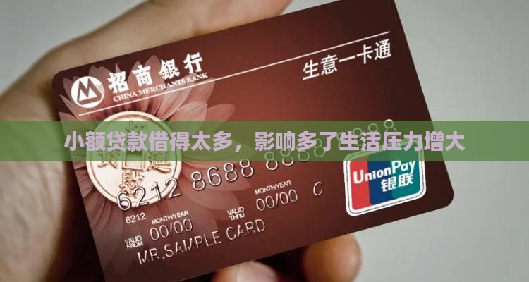 小额贷款借得太多，影响多了生活压力增大