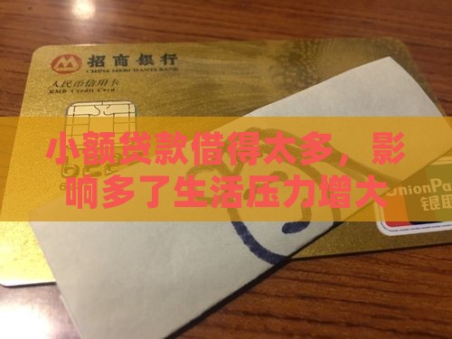 小额贷款借得太多，影响多了生活压力增大