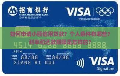 如何申请小额信用贷款？个人条件有哪些？利率和还款期限是怎样的？