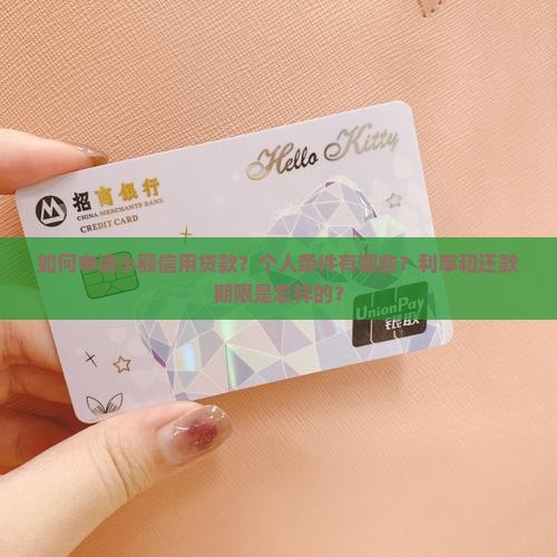 如何申请小额信用贷款？个人条件有哪些？利率和还款期限是怎样的？