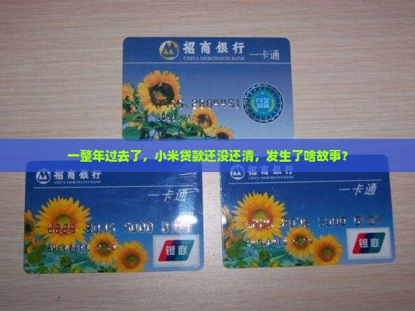 一整年过去了，小米贷款还没还清，发生了啥故事？