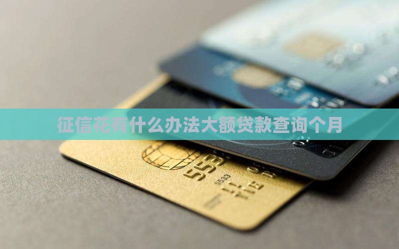 征信花有什么办法大额贷款查询个月