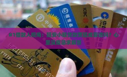 #1借款人视角：延安小额贷款贾延成靠谱吗？心里没底急求解答