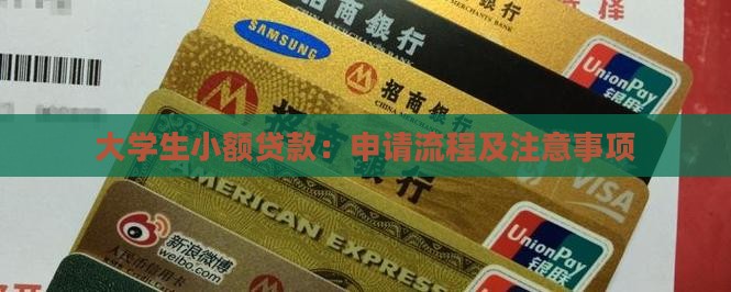 大学生小额贷款：申请流程及注意事项
