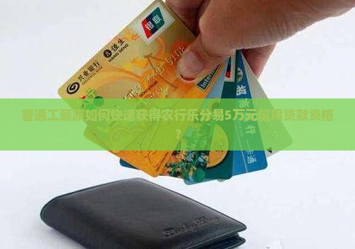 普通工薪族如何快速获得农行乐分易5万元信用贷款资格？