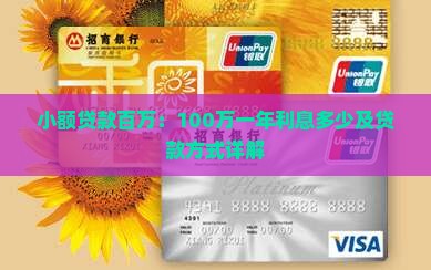 小额贷款百万：100万一年利息多少及贷款方式详解