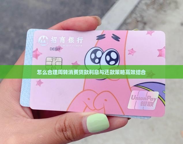 怎么合理周转消费贷款利息与还款策略高效结合