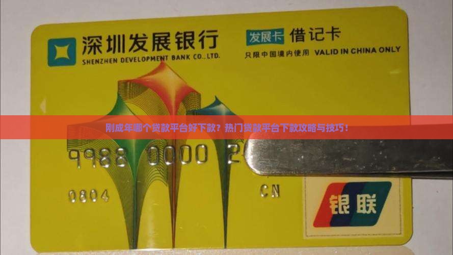 刚成年哪个贷款平台好下款？热门贷款平台下款攻略与技巧！