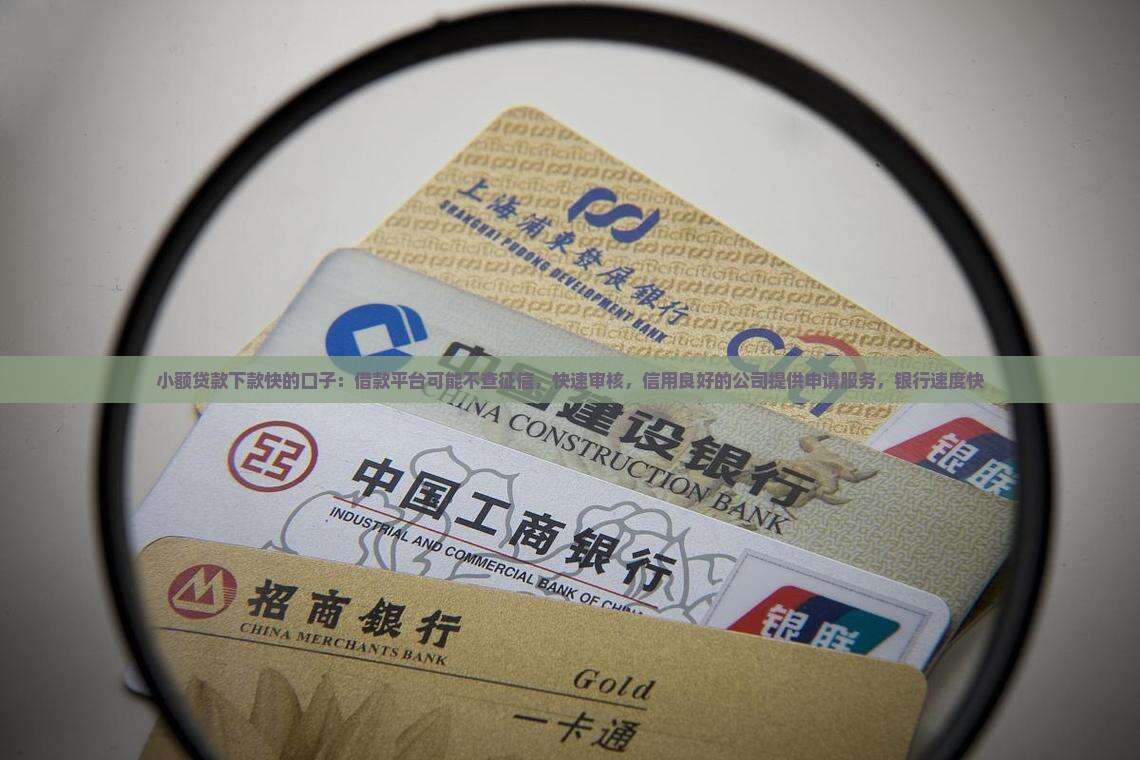小额贷款下款快的口子：借款平台可能不查征信，快速审核，信用良好的公司提供申请服务，银行速度快