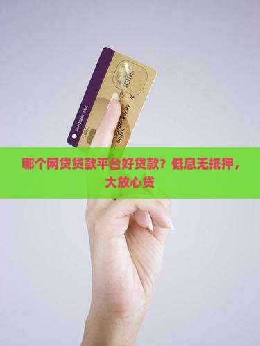 哪个网贷贷款平台好贷款？低息无抵押，大放心贷