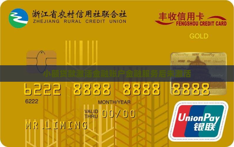 小额贷款激活金融账户金融服务后未激活