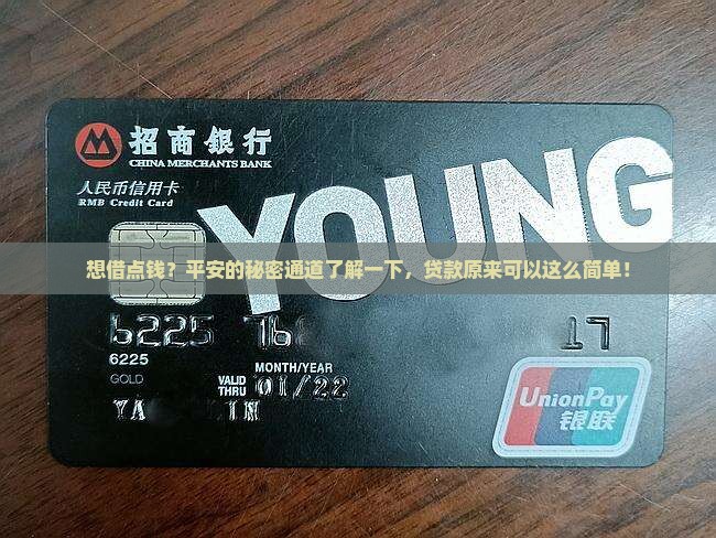 想借点钱？平安的秘密通道了解一下，贷款原来可以这么简单！