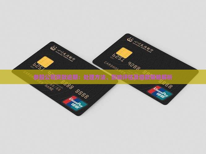 参股公司贷款逾期：处理方法、影响评估及借款策略解析