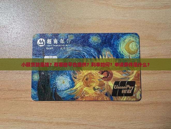 小额贷款是啥？有哪些平台提供？利率如何？申请条件是什么？