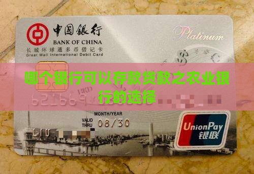 哪个银行可以存款贷款之农业银行的选择