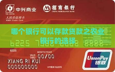 哪个银行可以存款贷款之农业银行的选择