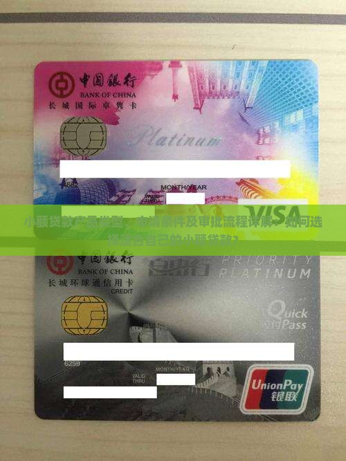 小额贷款产品类型、申请条件及审批流程详解：如何选择适合自己的小额贷款？