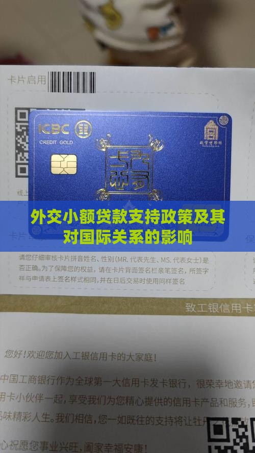 外交小额贷款支持政策及其对国际关系的影响