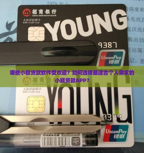 哪些小额贷款软件受欢迎？如何选择最适合个人需求的小额贷款APP？