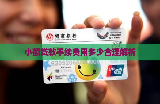 小额贷款手续费用多少合理解析