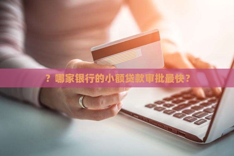 ？哪家银行的小额贷款审批最快？