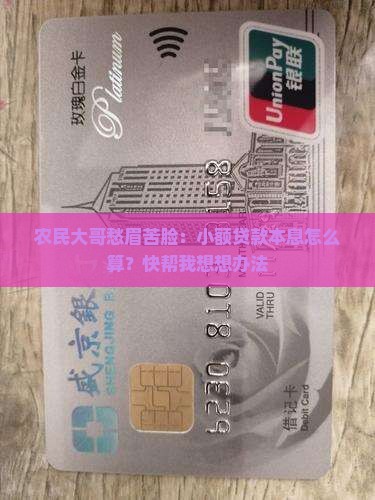 农民大哥愁眉苦脸：小额贷款本息怎么算？快帮我想想办法