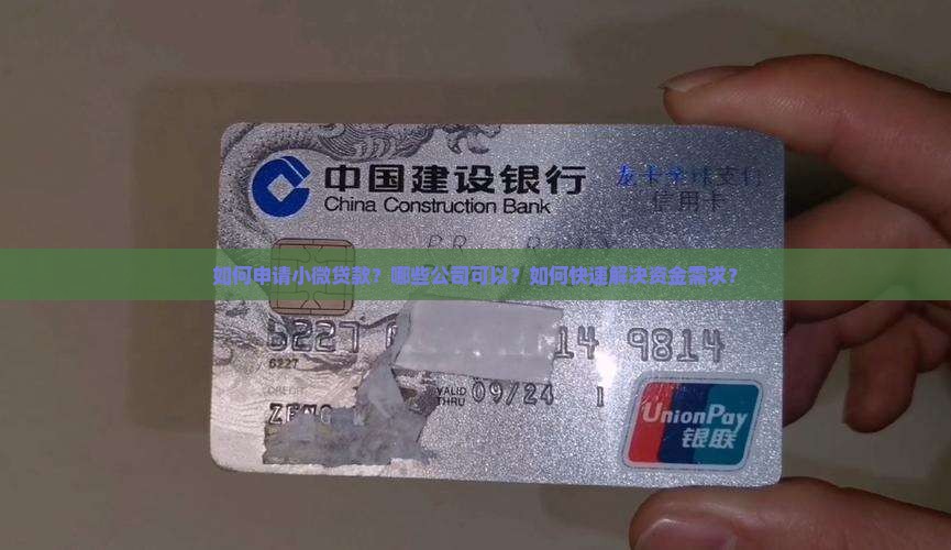 如何申请小微贷款？哪些公司可以？如何快速解决资金需求？