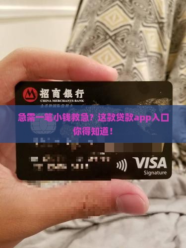 急需一笔小钱救急？这款贷款app入口你得知道！