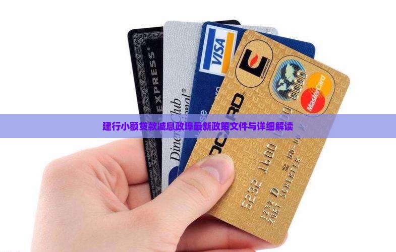 建行小额贷款减息政埠最新政策文件与详细解读