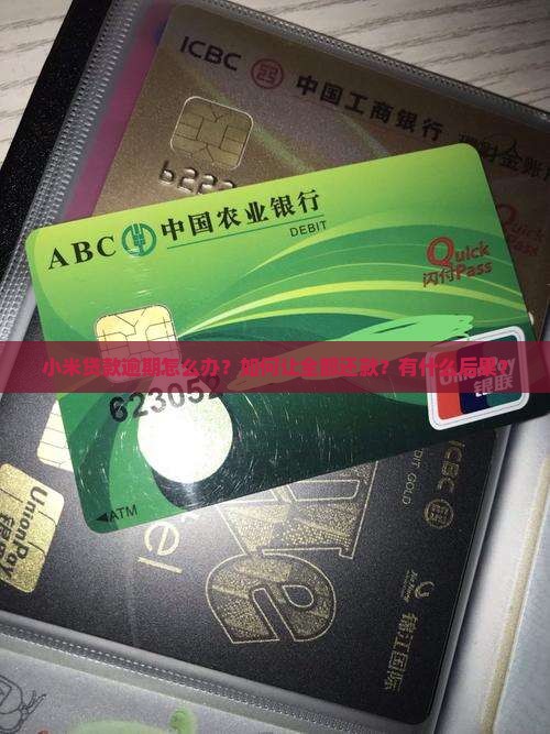 小米贷款逾期怎么办？如何让全部还款？有什么后果？