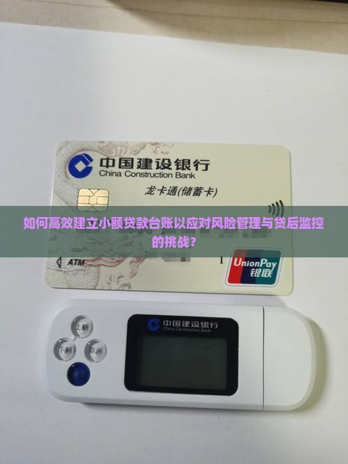 如何高效建立小额贷款台账以应对风险管理与贷后监控的挑战？