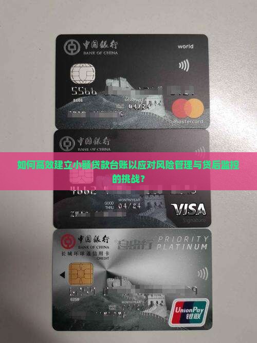 如何高效建立小额贷款台账以应对风险管理与贷后监控的挑战？