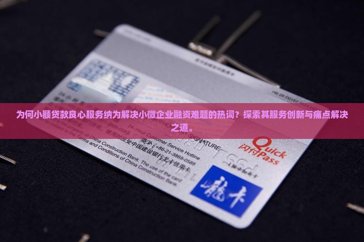 为何小额贷款良心服务纳为解决小微企业融资难题的热词？探索其服务创新与痛点解决之道。