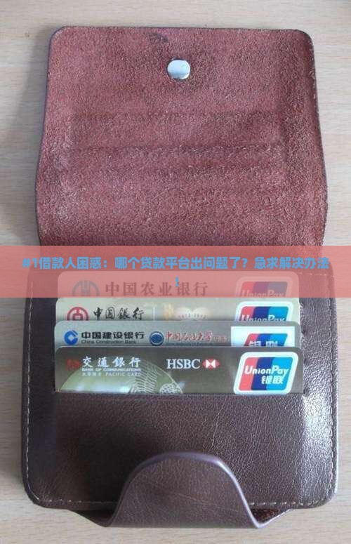 #1借款人困惑：哪个贷款平台出问题了？急求解决办法！
