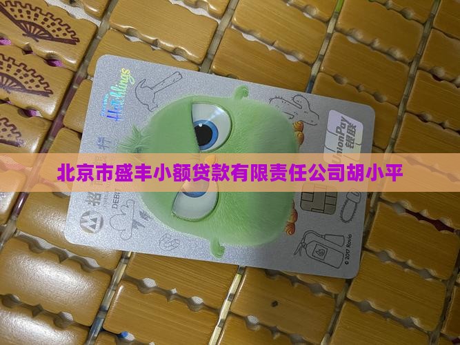 北京市盛丰小额贷款有限责任公司胡小平